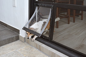 Pet Door Installation