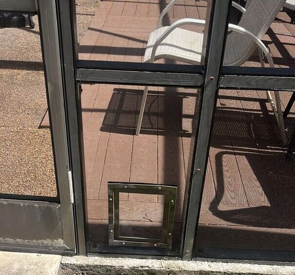 Benefits of Installing a Pet Door