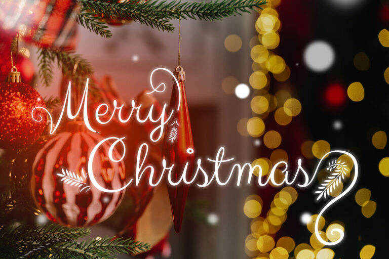 Blog 21 Merry Christmas