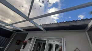 Patio Screen Repair in Deerfield Beach