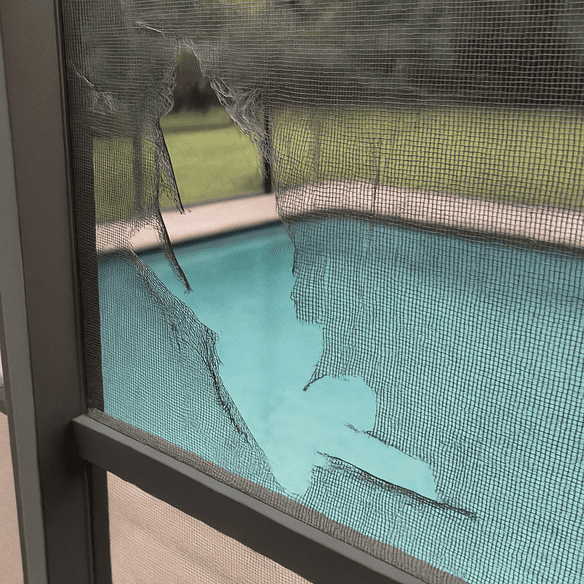Common Issues with Pool Enclosures
