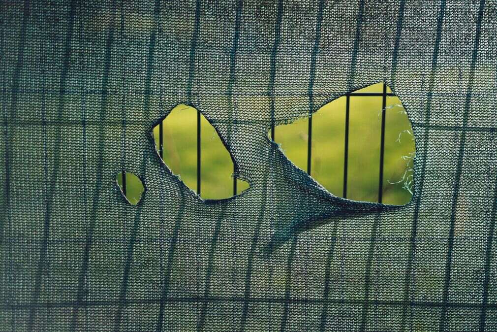 Most Common Pool Screen Problems in Pompano Beach