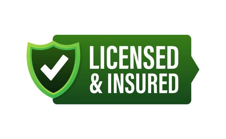 Home 20 licensed and insured vector icon with tick mark and shield