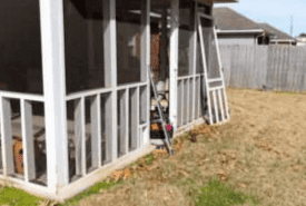 Screws Replacement Services